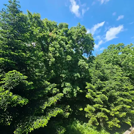 Europroperties Iglika * Nisipurile de Aur